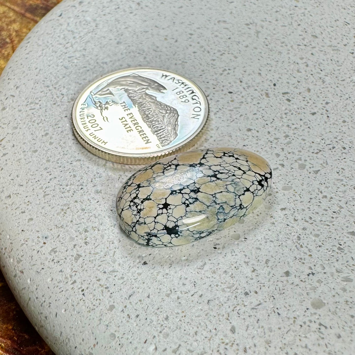 Ivory Creek Variscite Cabochon