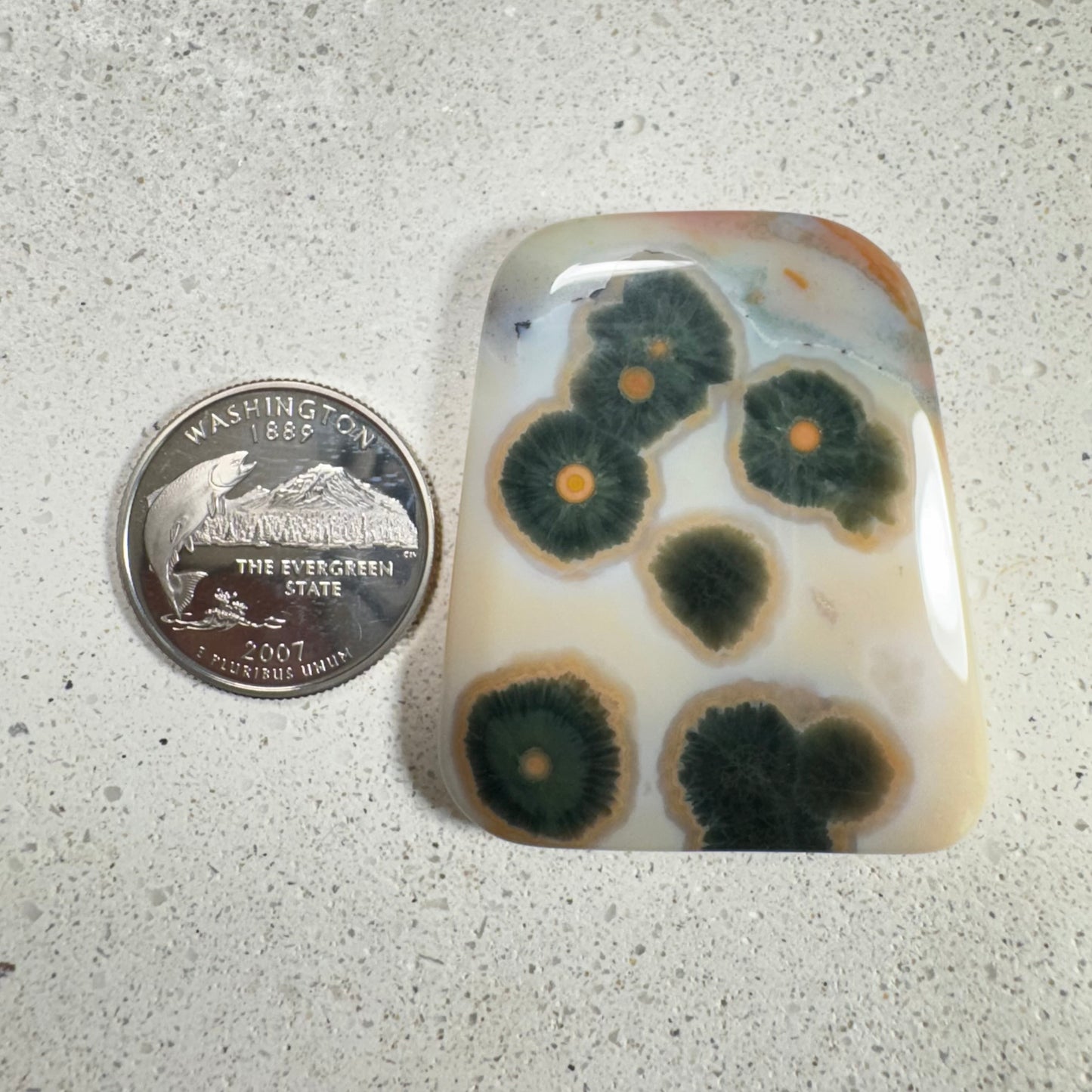 Ocean Jasper Cabochon 110.6ct