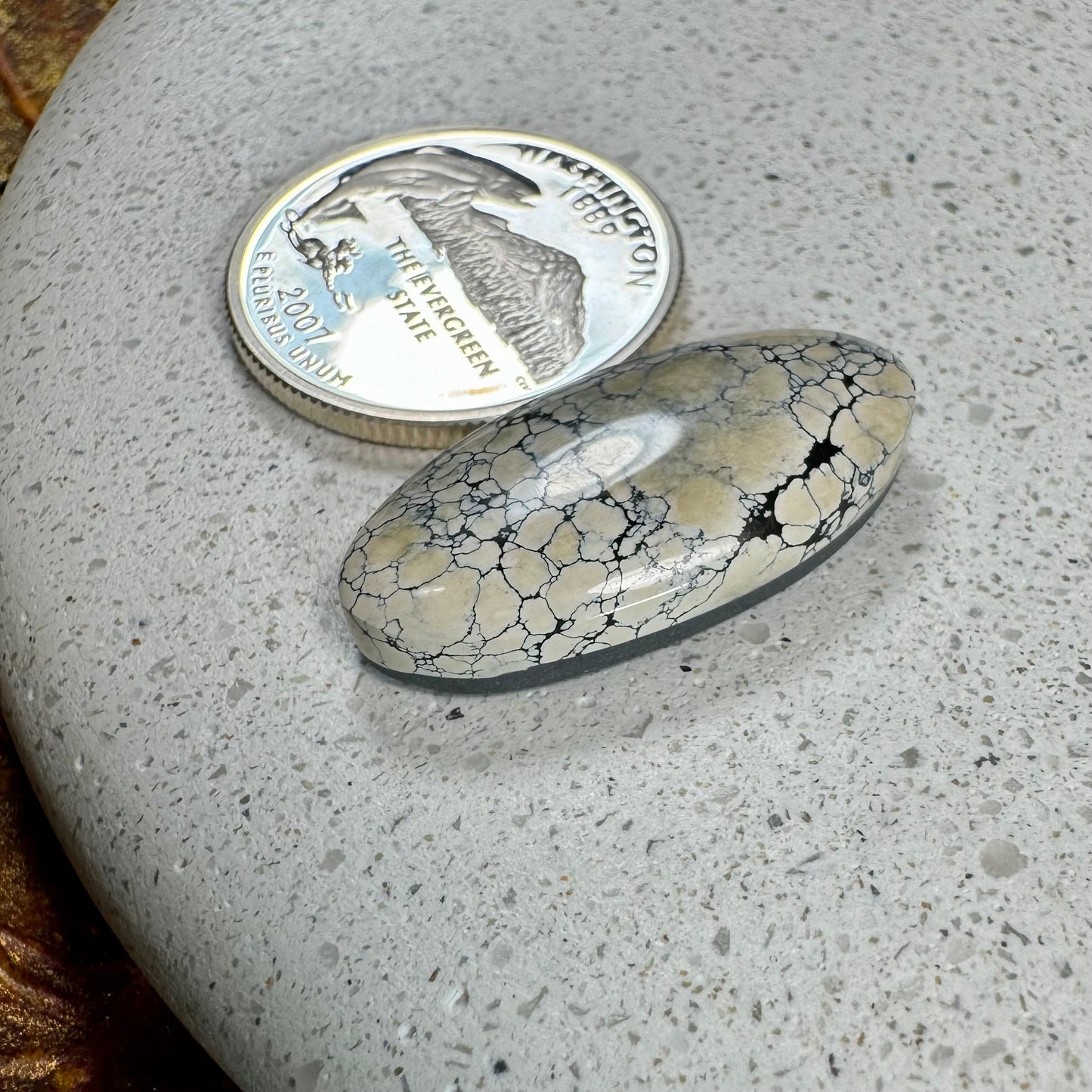 Ivory Creek Variscite Cabochon