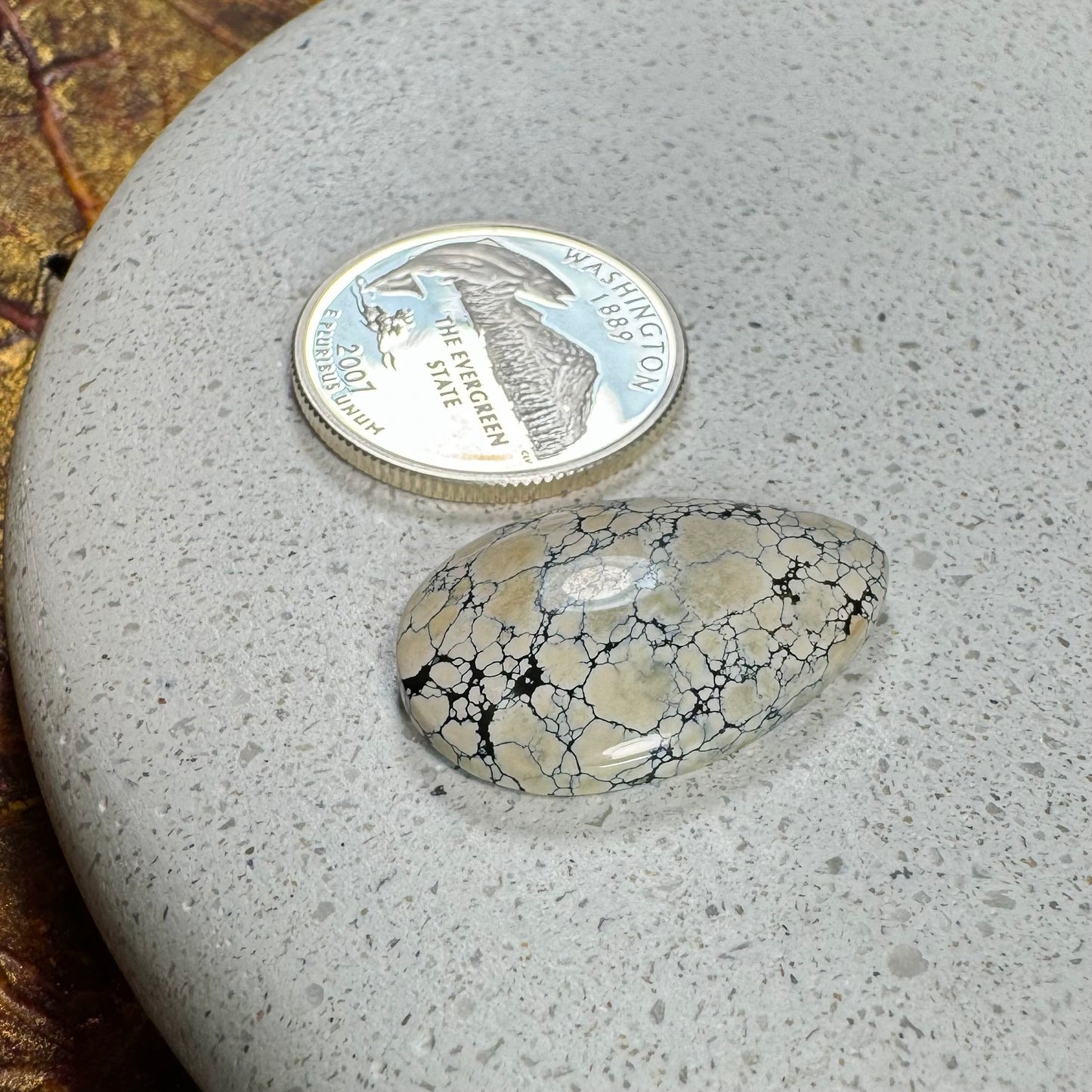Ivory Creek Variscite Cabochon