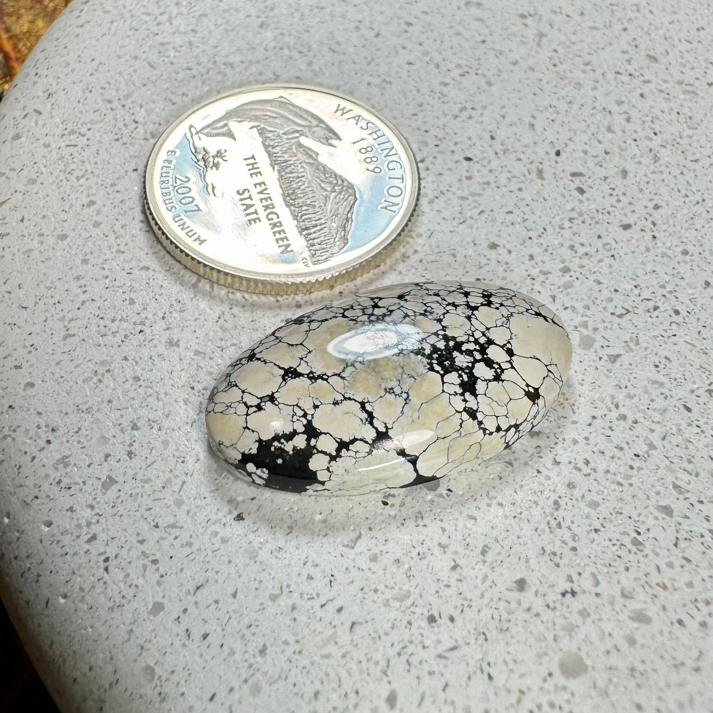 Ivory Creek Variscite Cabochon