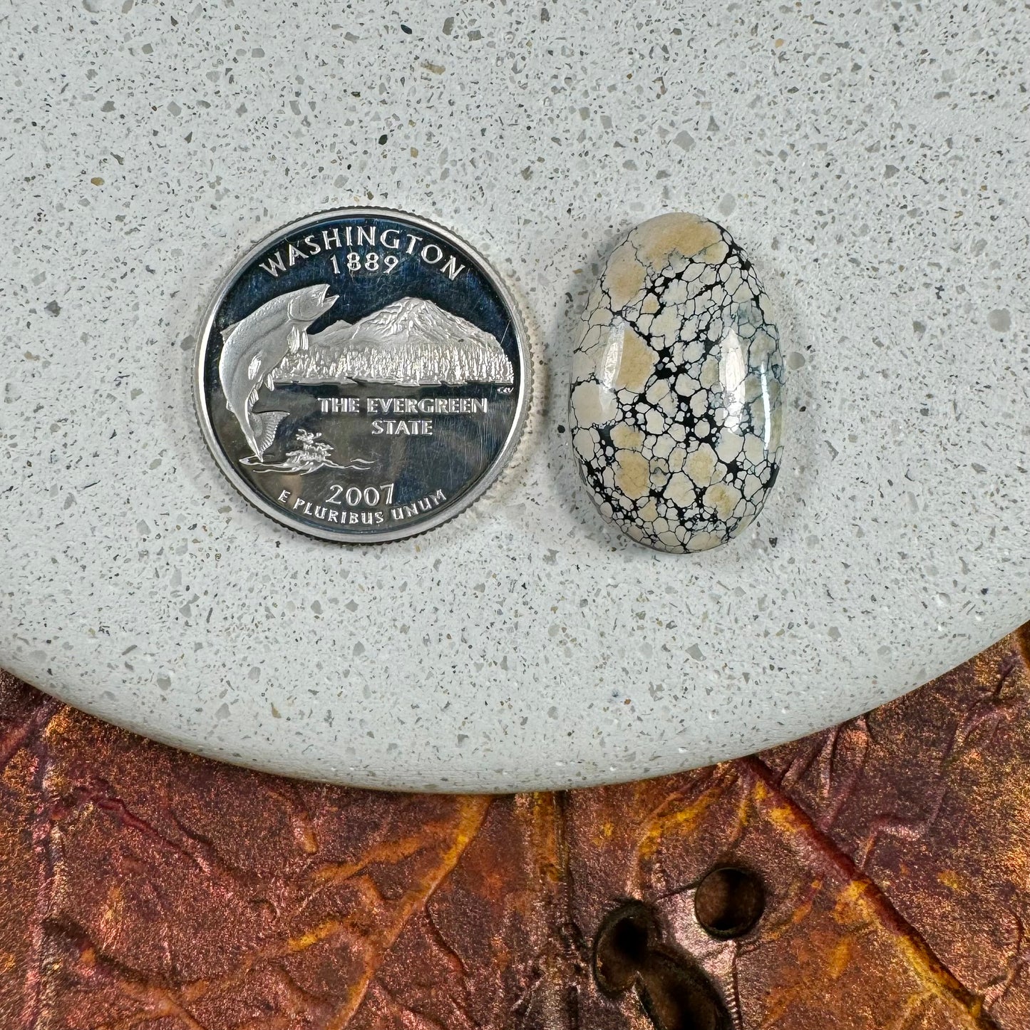 Ivory Creek Variscite Cabochon