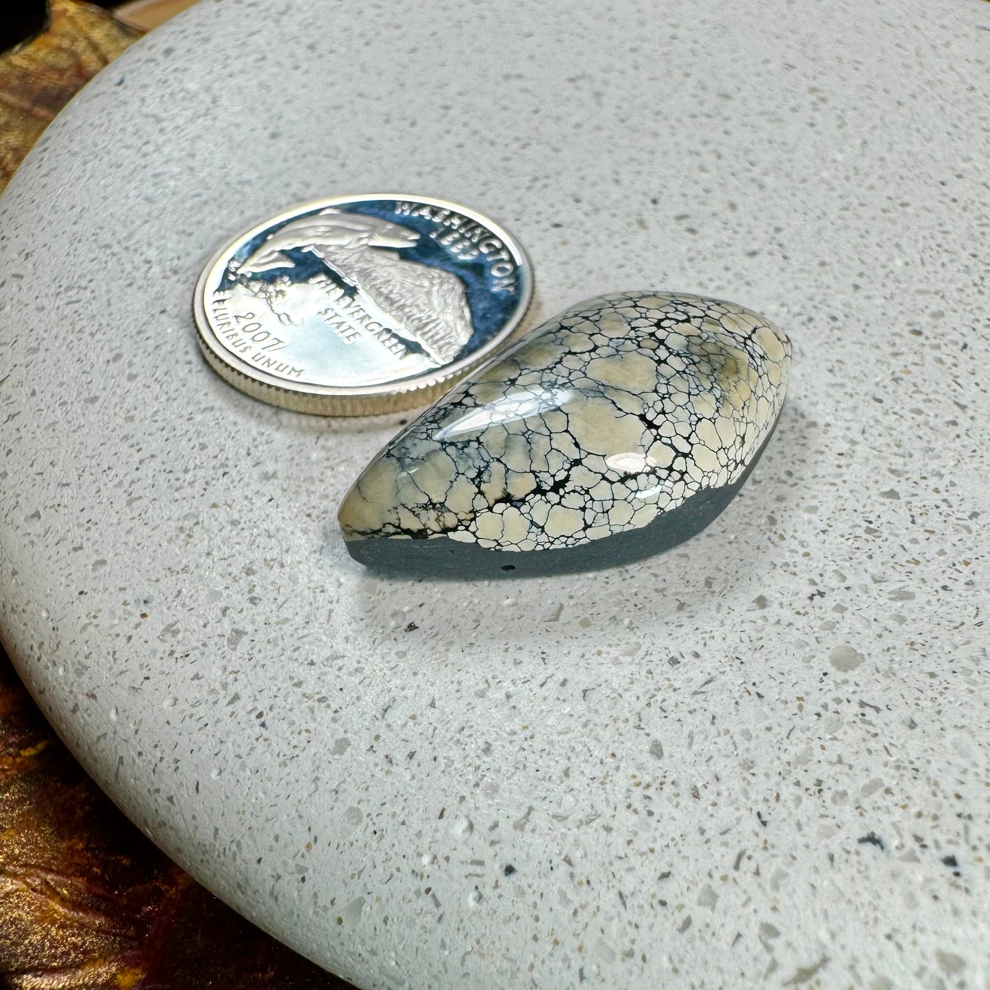 Ivory Creek Variscite Cabochon