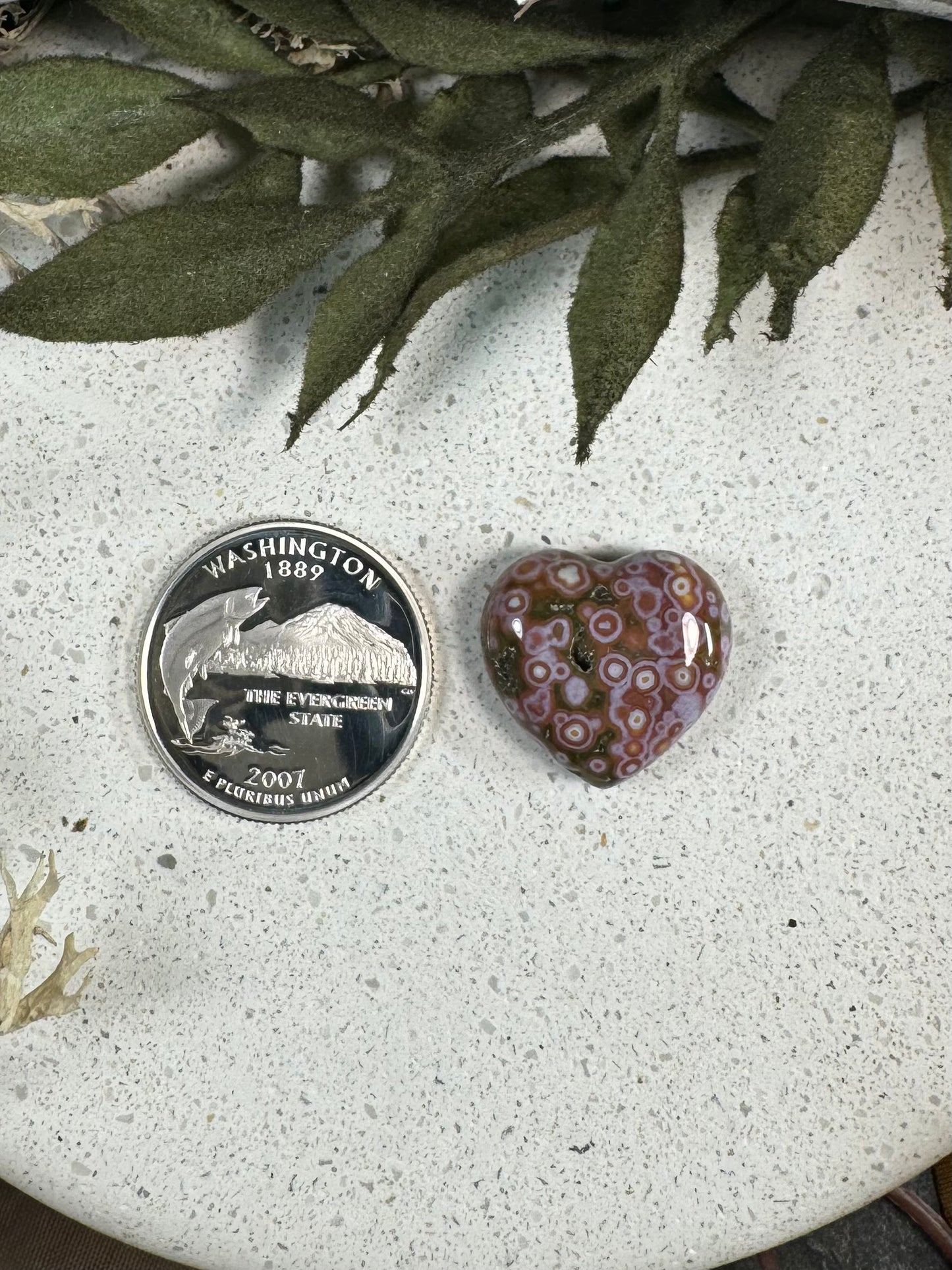 Indonesian River Jasper Cabochon