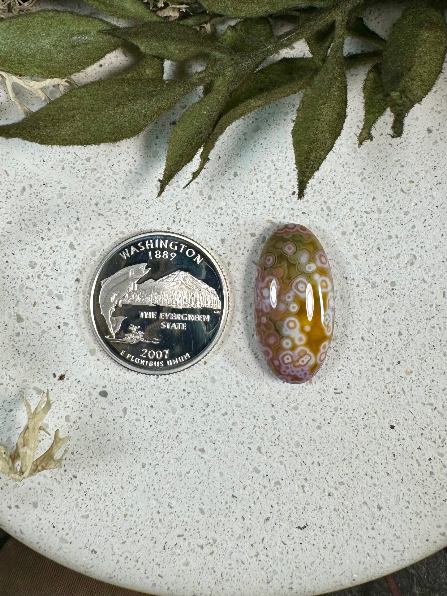 Indonesian River Jasper Cabochon