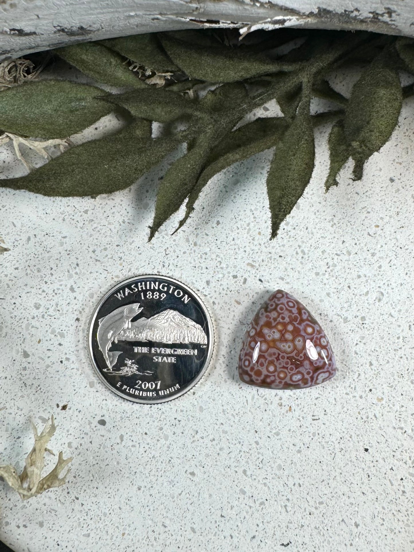 Indonesian River Jasper Cabochon