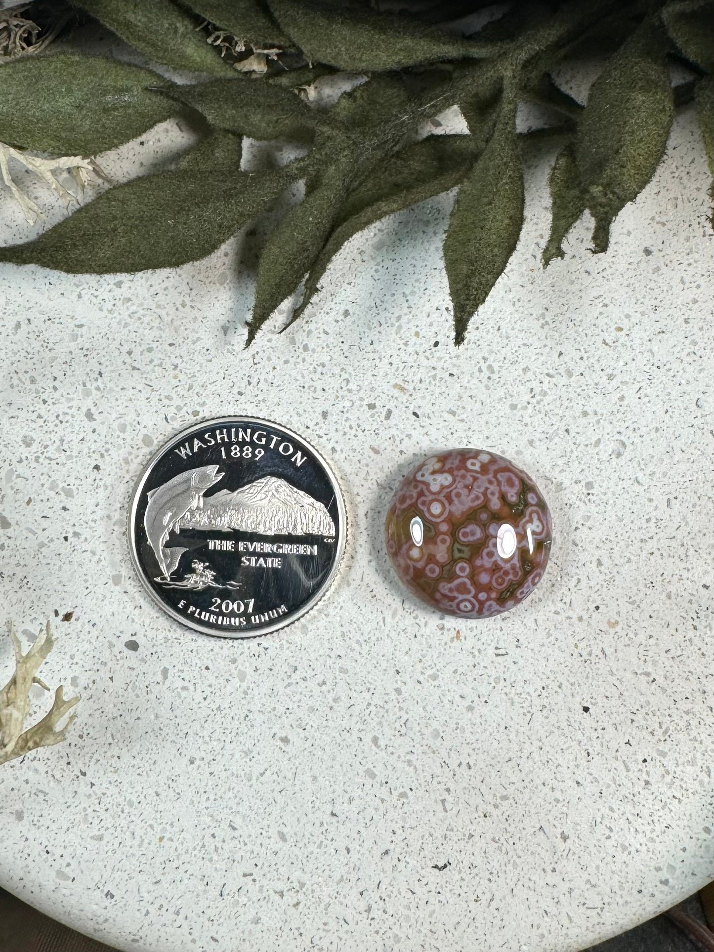 Indonesian River Jasper Cabochon