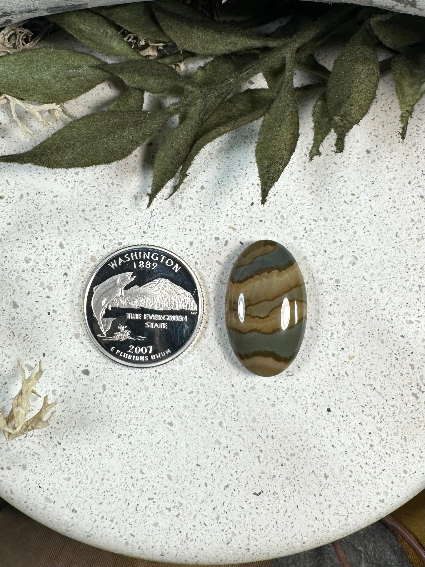 Deer Sky Jasper Cabochon