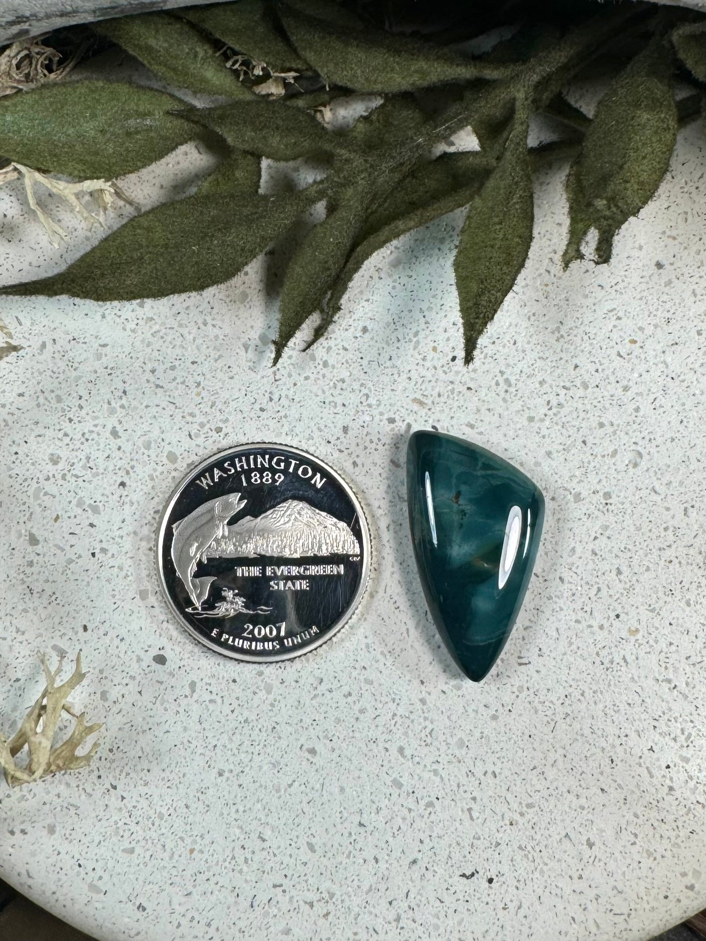 Skaggs Jasper Cabochon