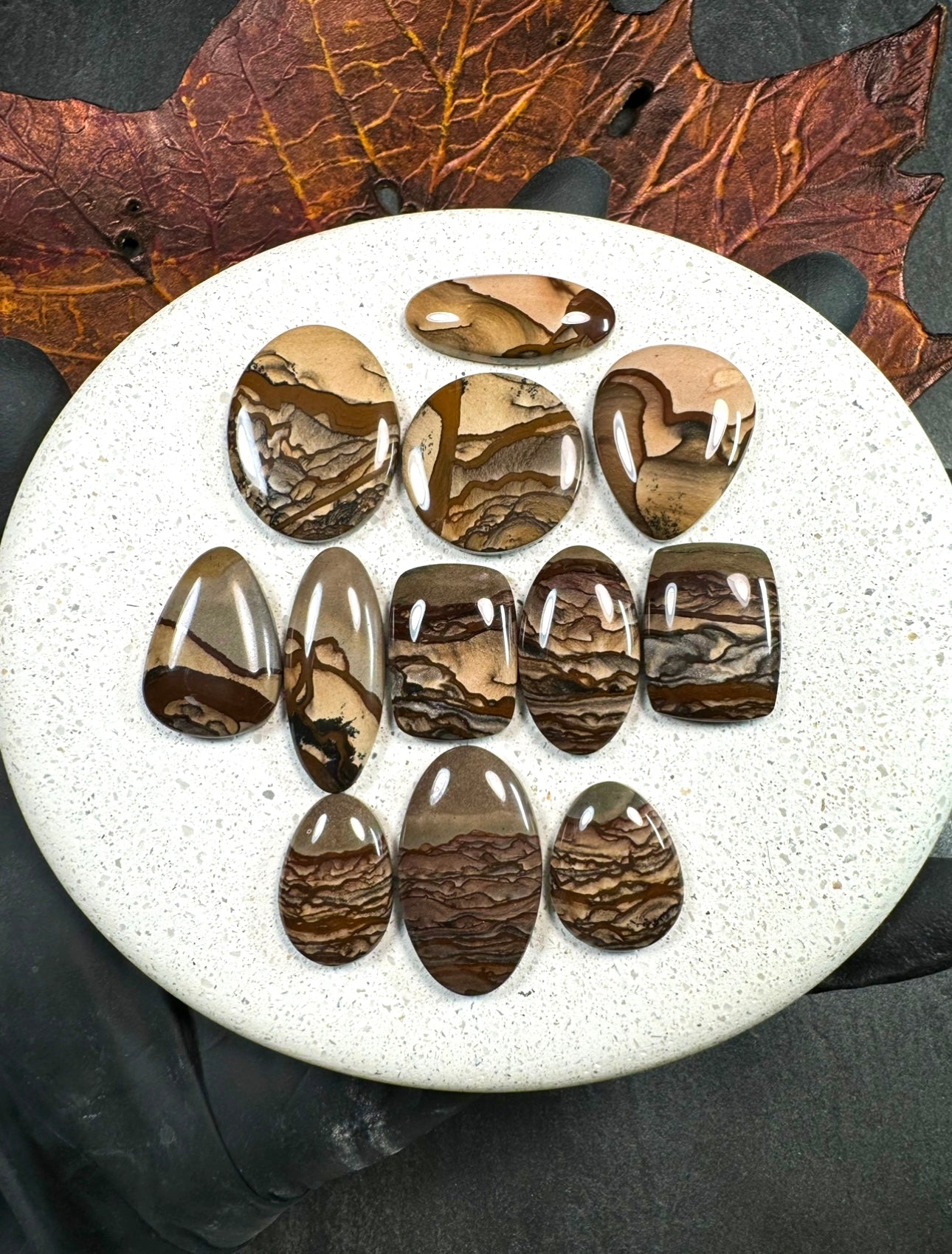 Opalized Deschutes Jasper Cabochon