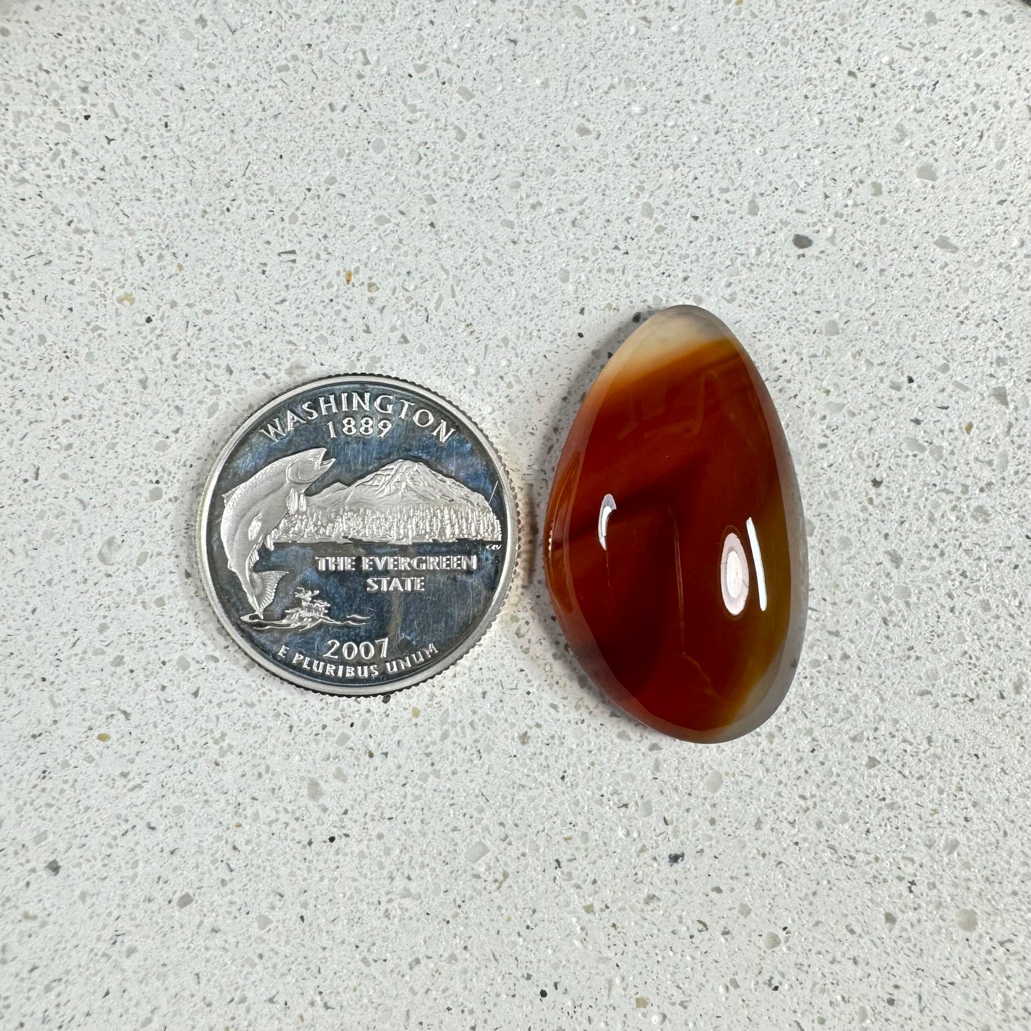 Montana Agate Cabochon