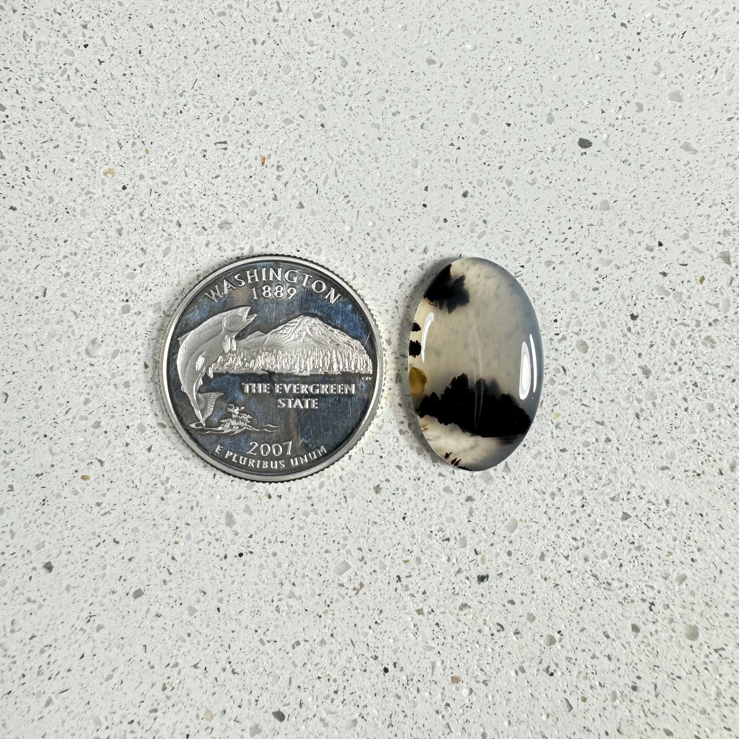 Montana Moss Agate Cabochon