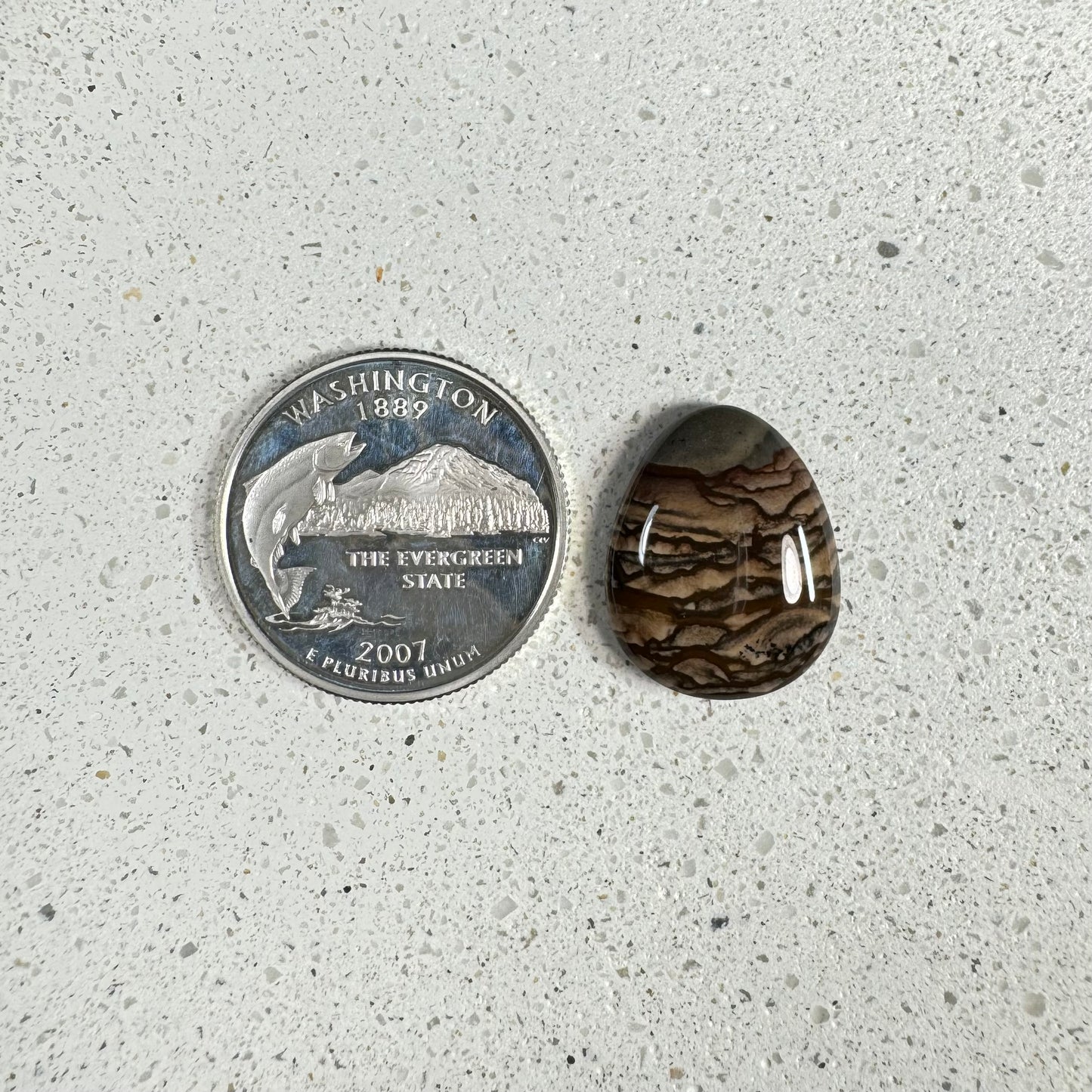 Deschutes Jasper Cabochon