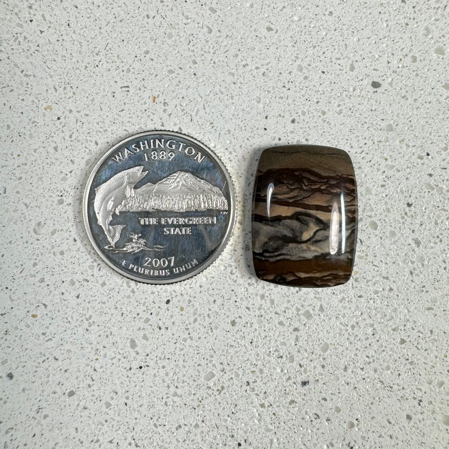 Deschutes Jasper Cabochon
