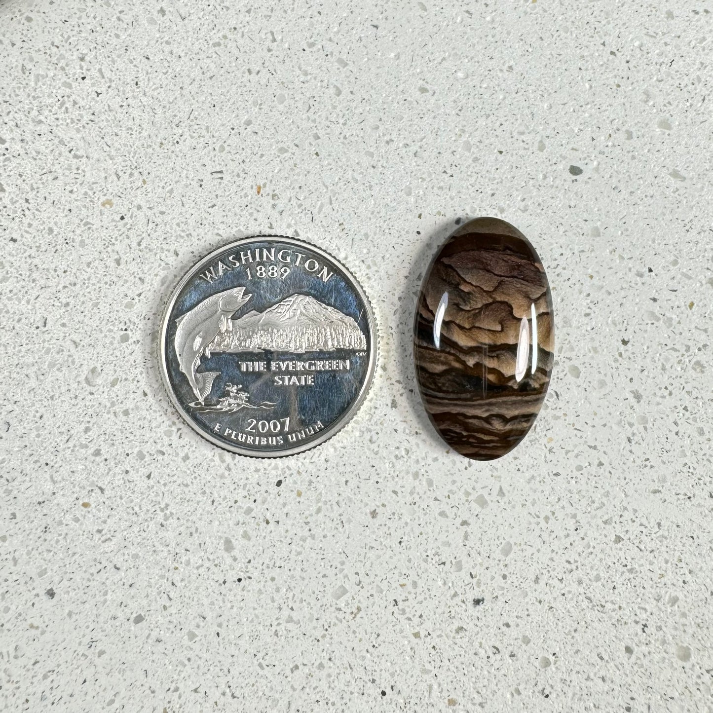 Deschutes Jasper Cabochon