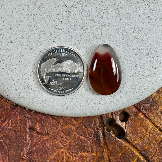 Condor Agate from Argentina