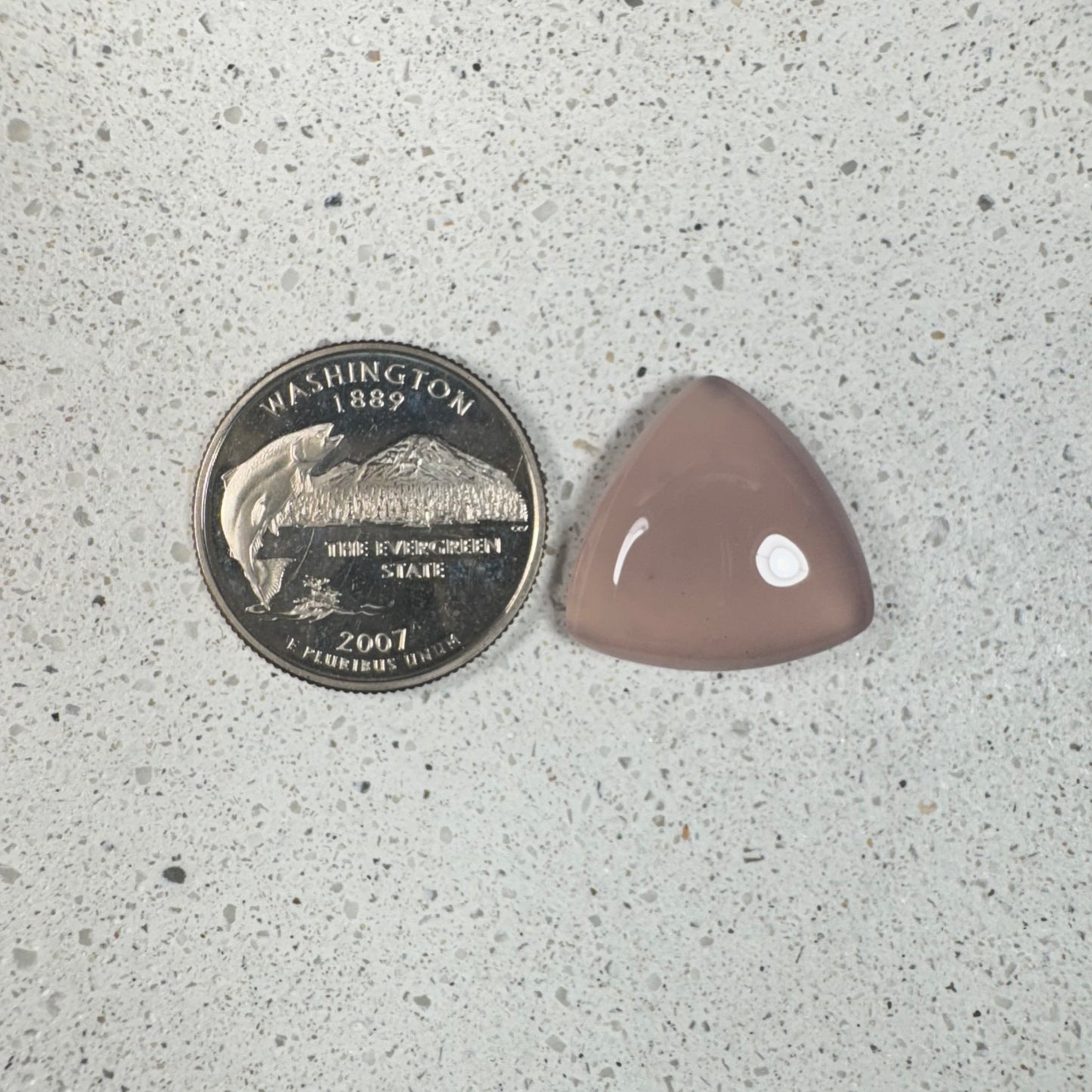 Pink Chalcedony Limb Cast Cabochon - Nevada