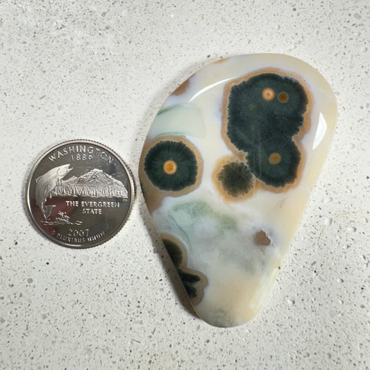 Ocean Jasper Cabochon 100ct