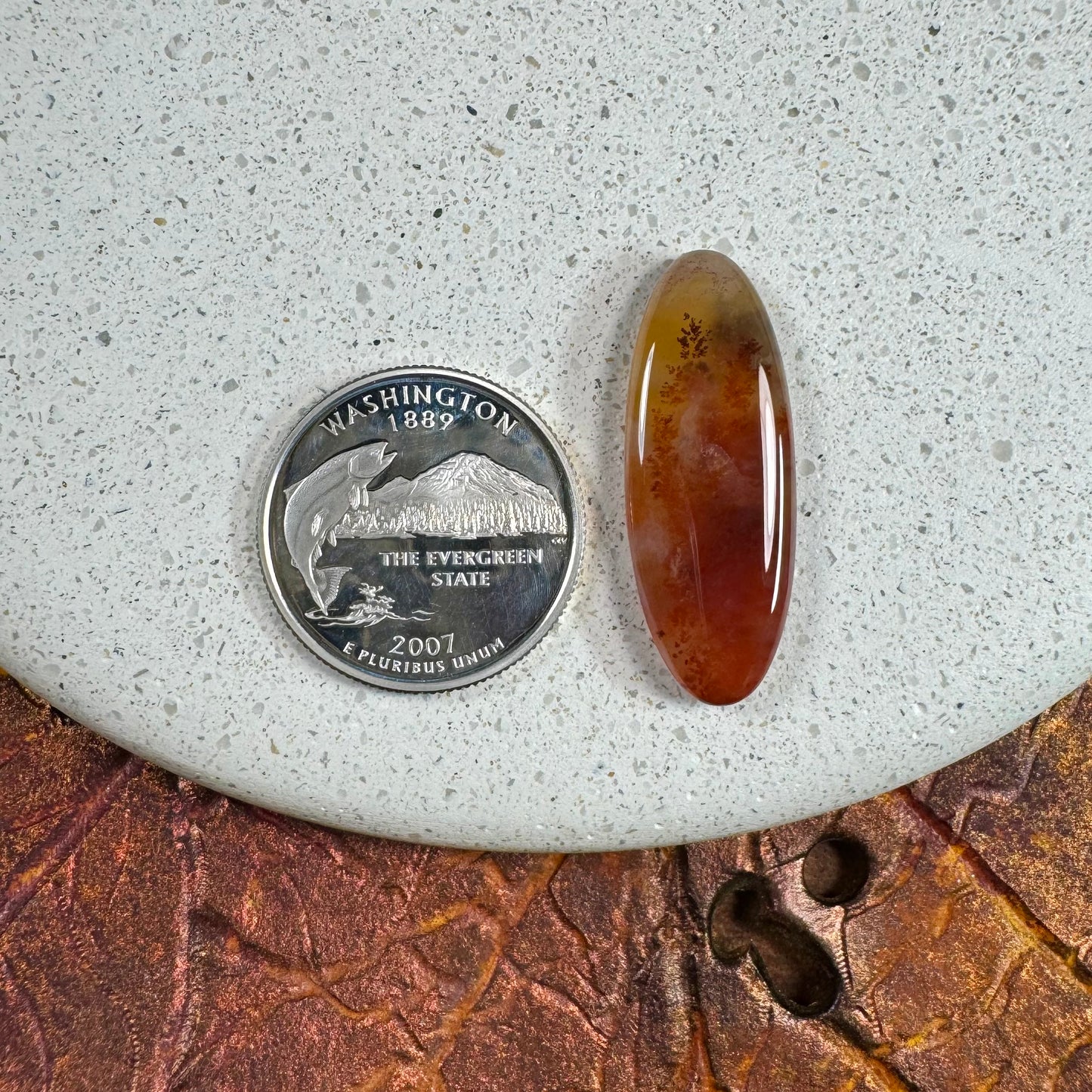 Carey Plume Agate Cabochon