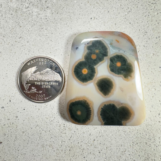 Ocean Jasper Cabochon 110.6ct