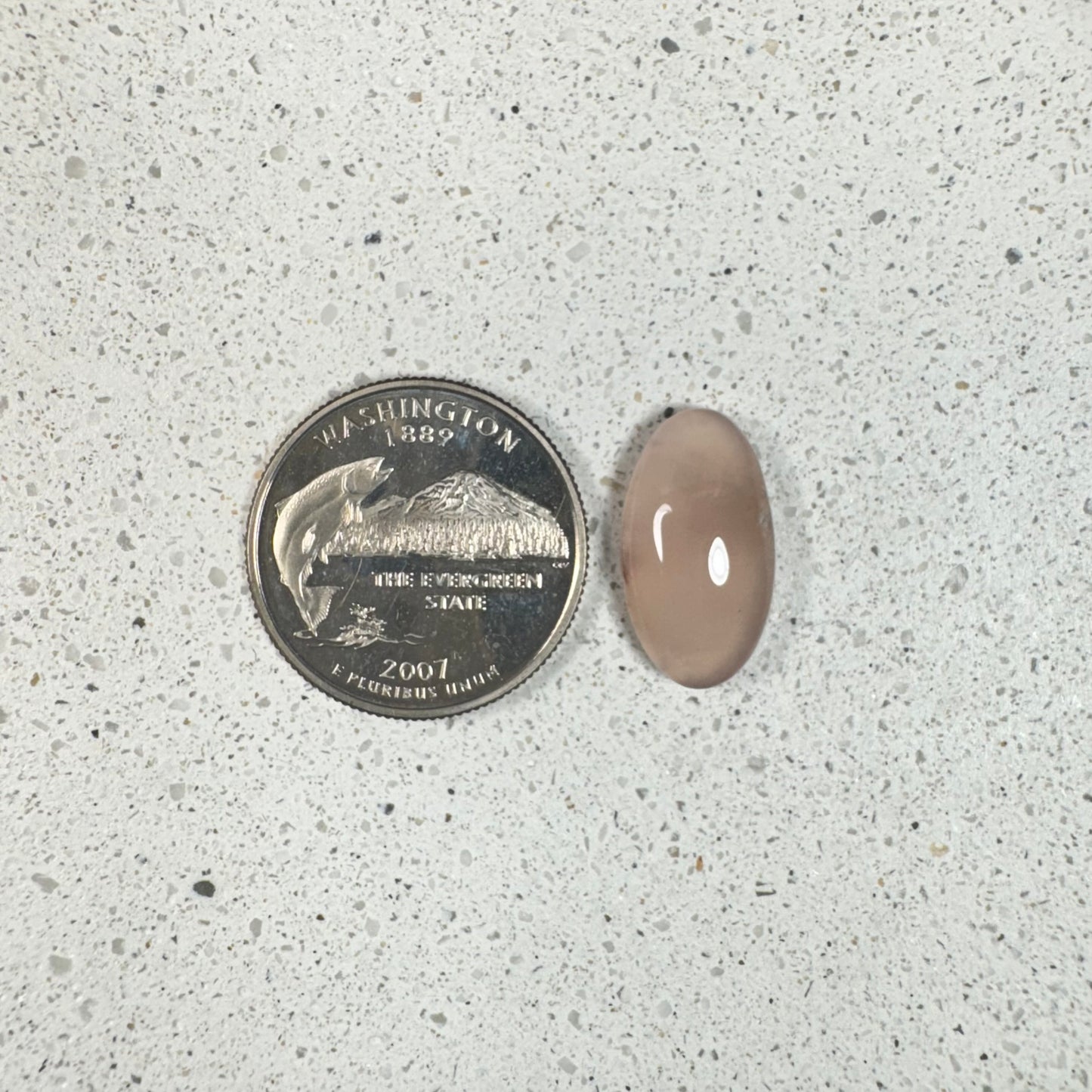 Pink Chalcedony Limb Cast Cabochon - Nevada