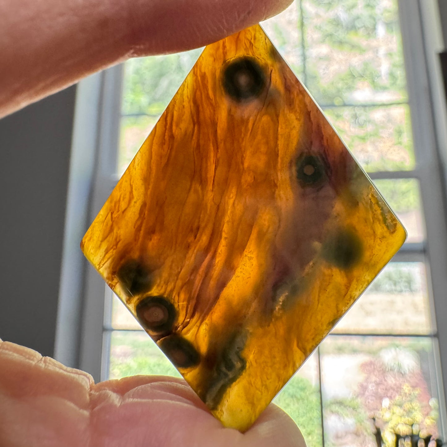 Ocean Jasper Cabochon 63.2ct
