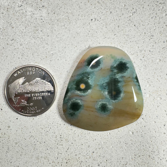 Ocean Jasper Cabochon 65.3ct