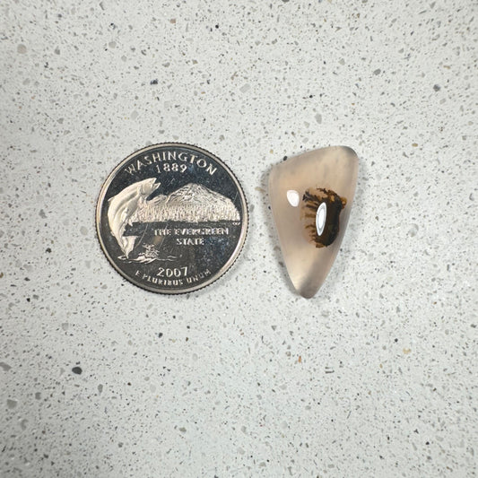 Pale Pink Agate Limb Cast Cabochon - Oregon 