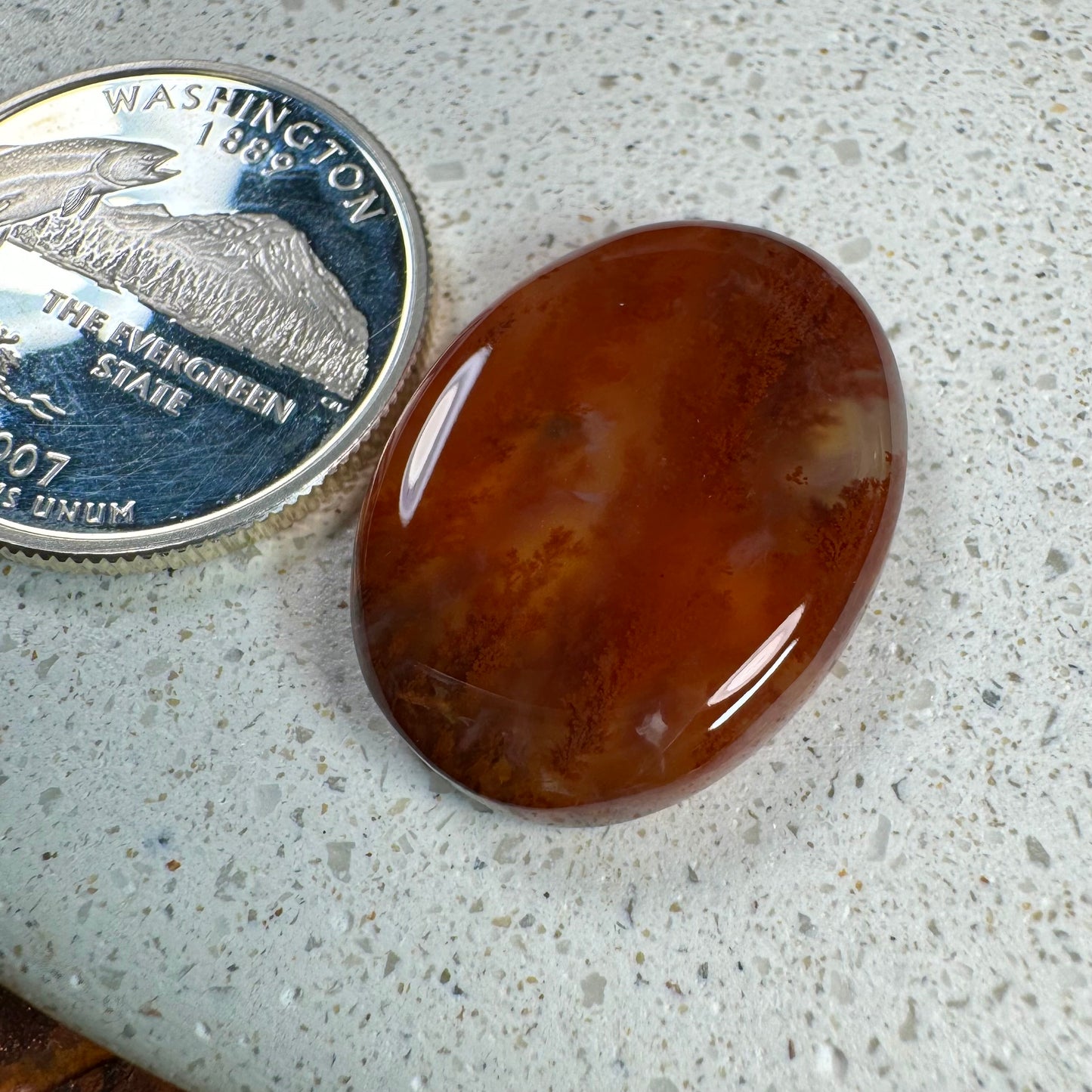 Carey Plume Agate Cabochon