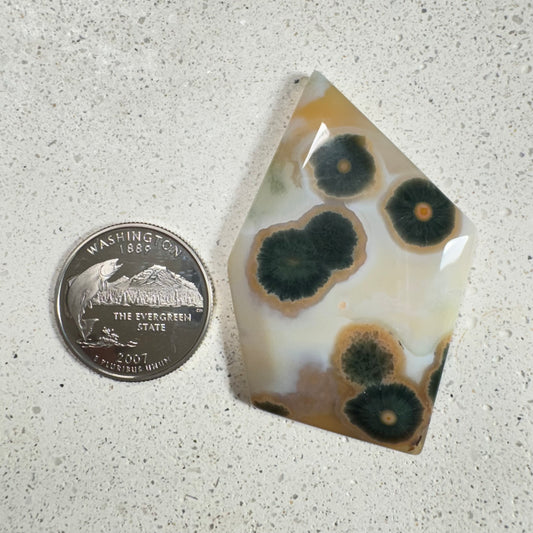 Ocean Jasper Cabochon 84.2ct