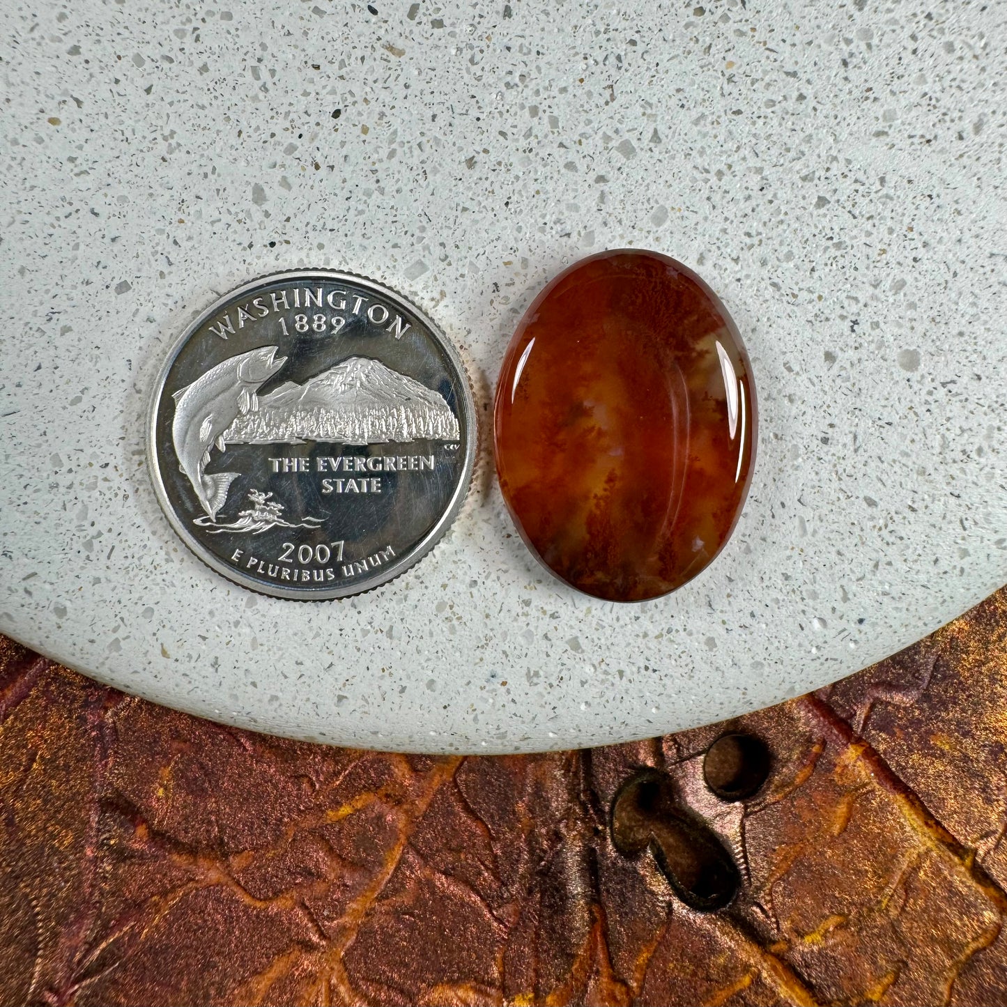 Carey Plume Agate Cabochon