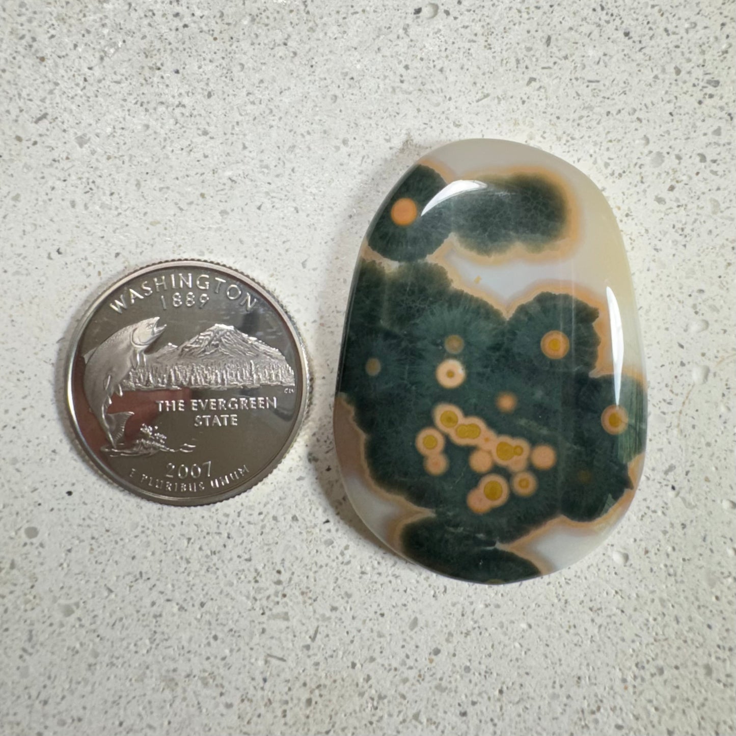 Ocean Jasper Cabochon 63ct