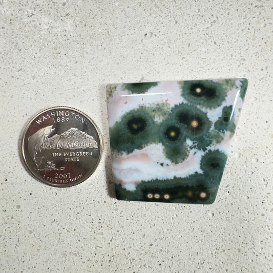 Ocean Jasper Cabochon 62.8ct
