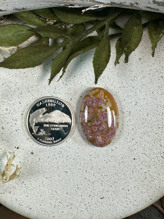 Indonesian River Jasper Cabochon