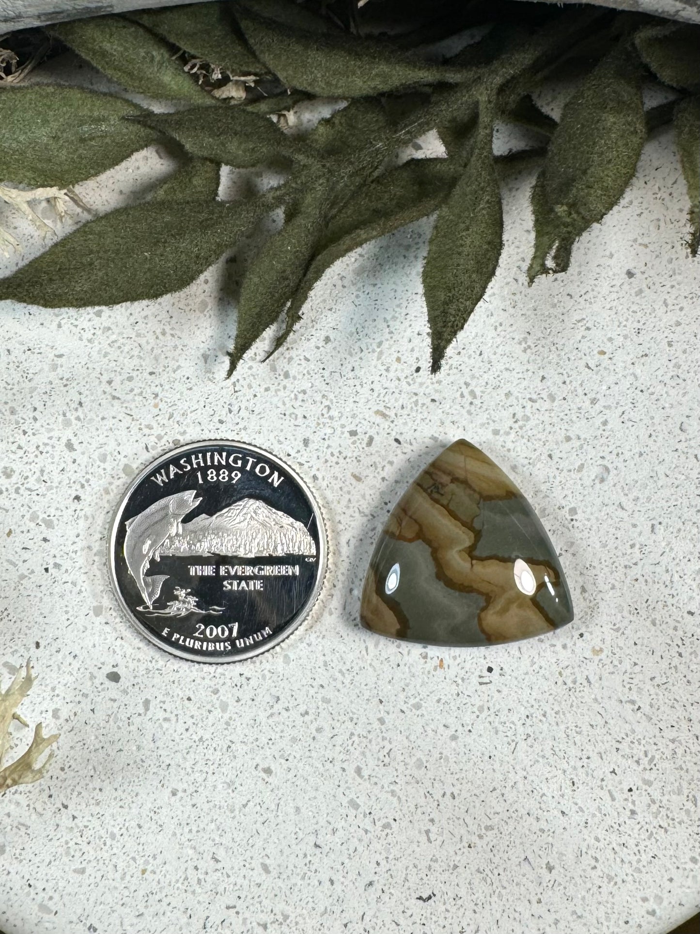 Deer Sky Jasper Cabochon