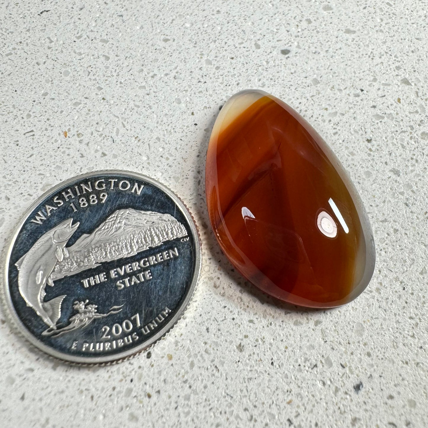 Montana Agate Cabochon